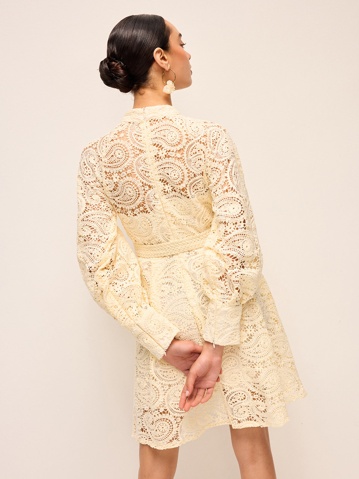 Semi-Sheer Lace Belted Dress