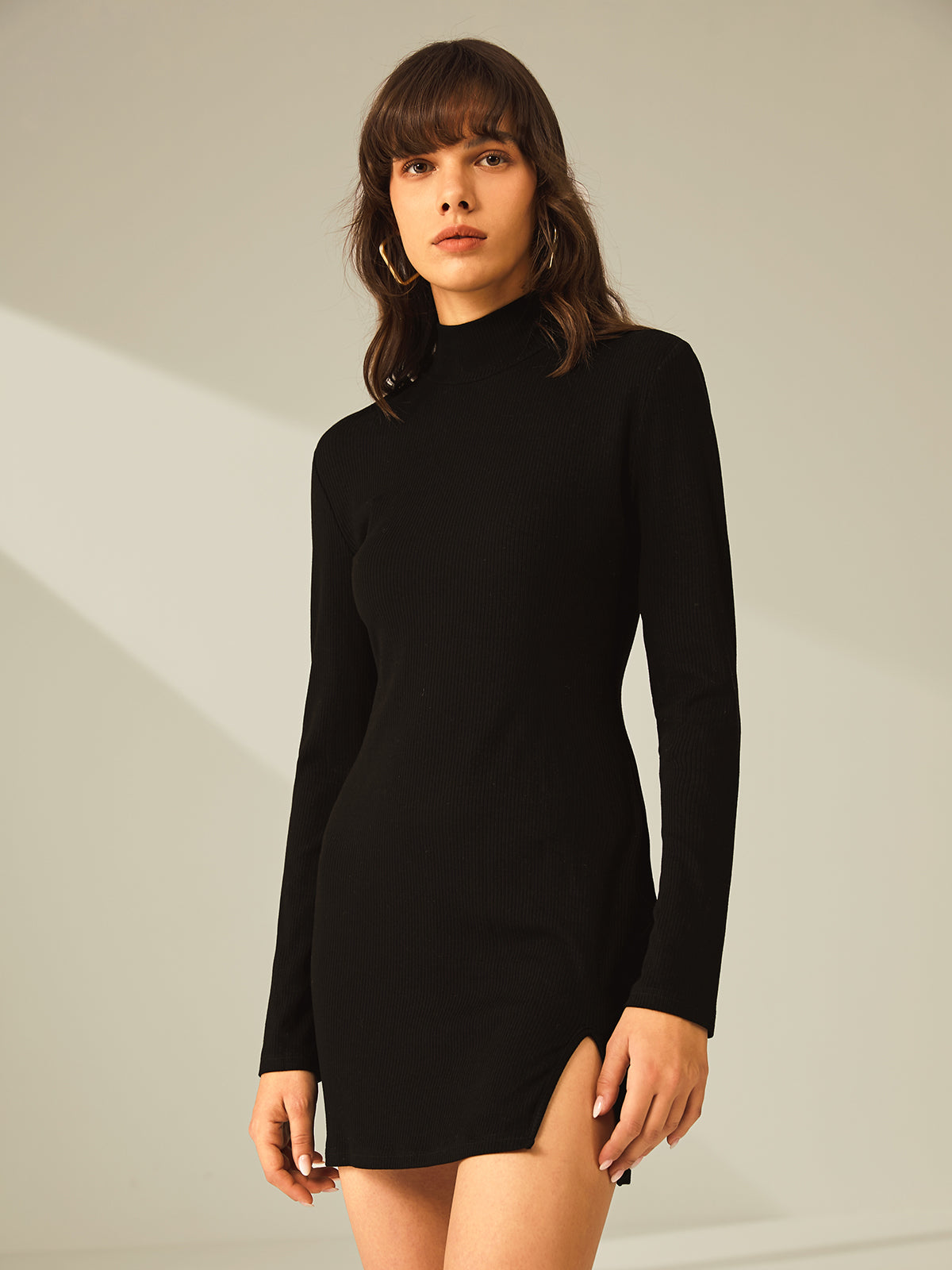 Long Sleeve Turtleneck Mini Dress